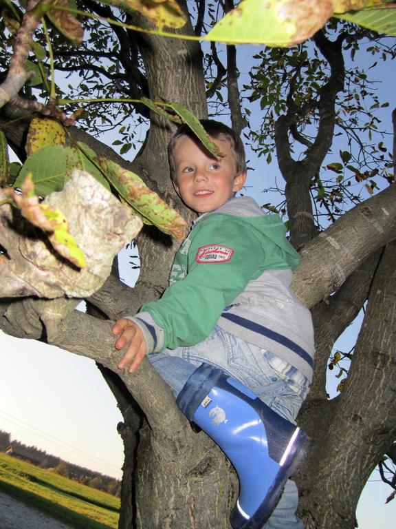Baby- Und Kinderhof Aicherbauer Seeham Zewnętrze zdjęcie