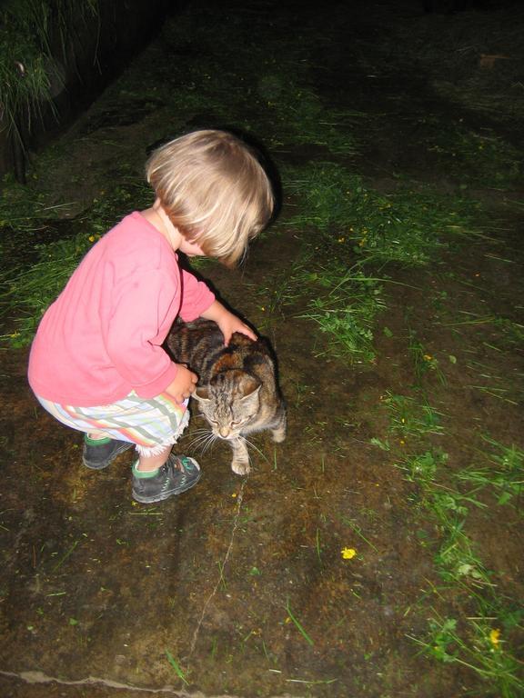 Baby- Und Kinderhof Aicherbauer Seeham Zewnętrze zdjęcie