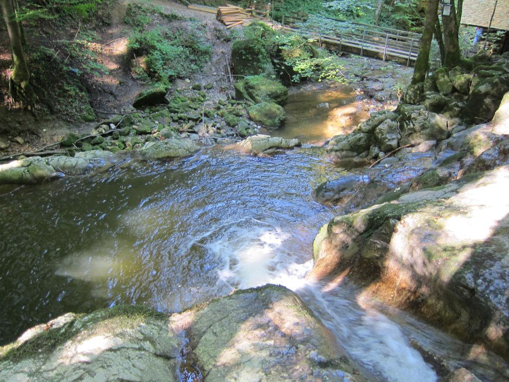 Baby- Und Kinderhof Aicherbauer Seeham Zewnętrze zdjęcie