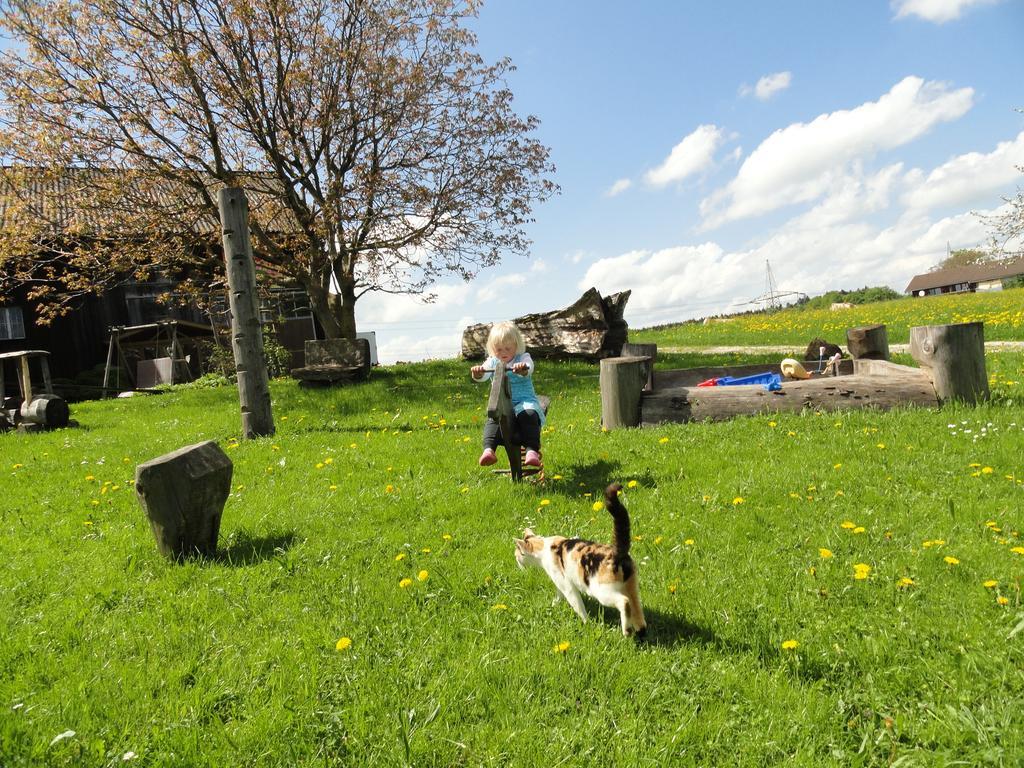 Baby- Und Kinderhof Aicherbauer Seeham Zewnętrze zdjęcie
