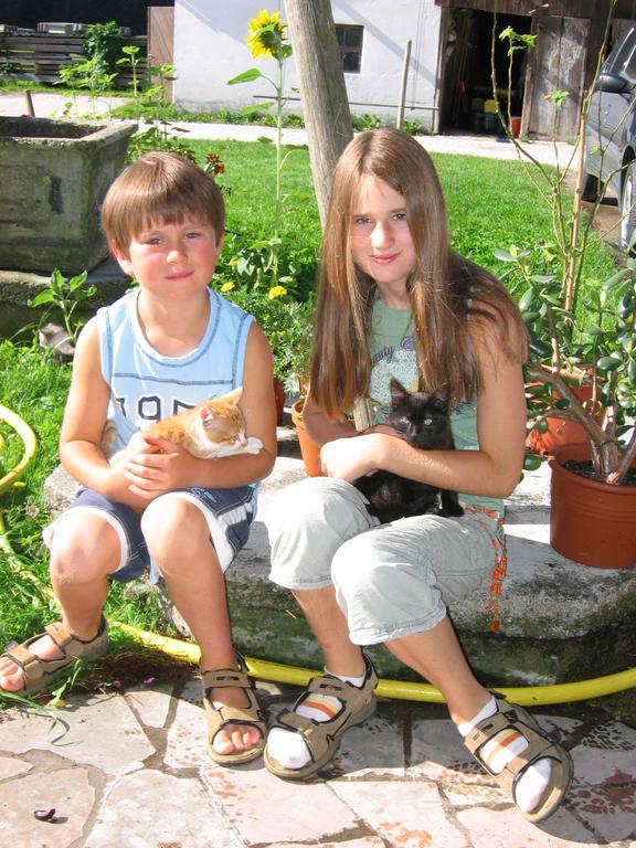 Baby- Und Kinderhof Aicherbauer Seeham Zewnętrze zdjęcie
